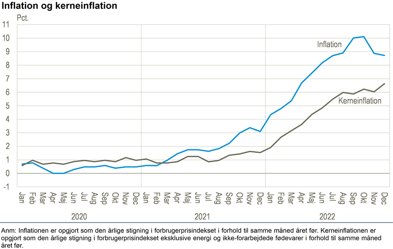 NYT Fortsat aftagende inflationen Danmarks Statistik